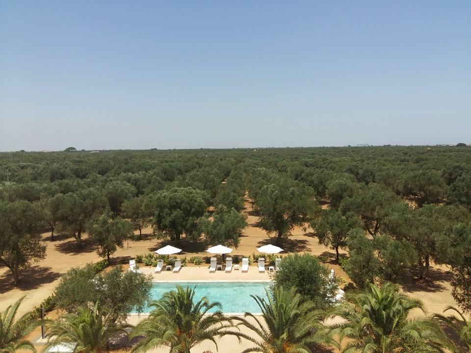 Tenuta Afra Squinzano Exterior foto